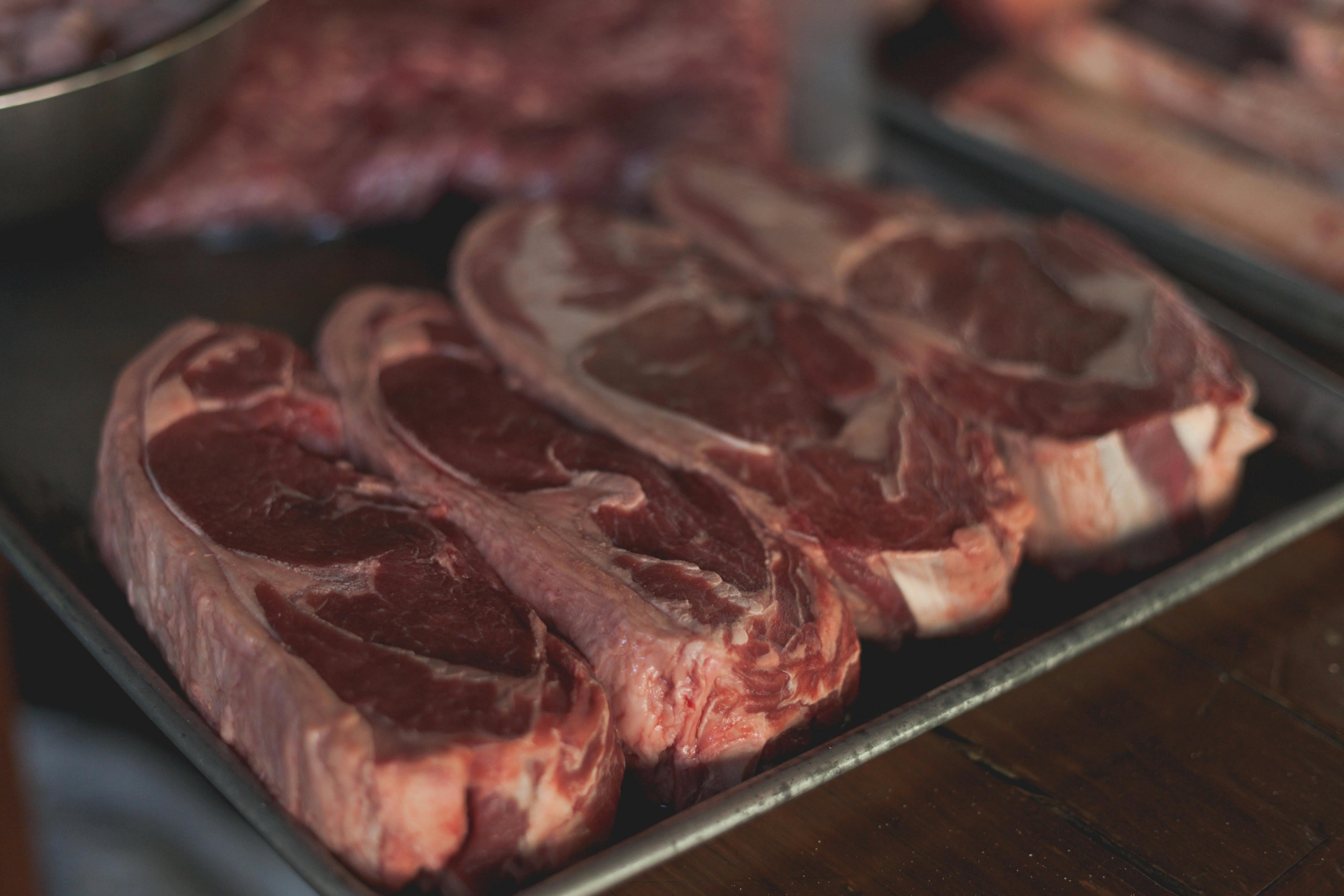 Quality Beef Cattle